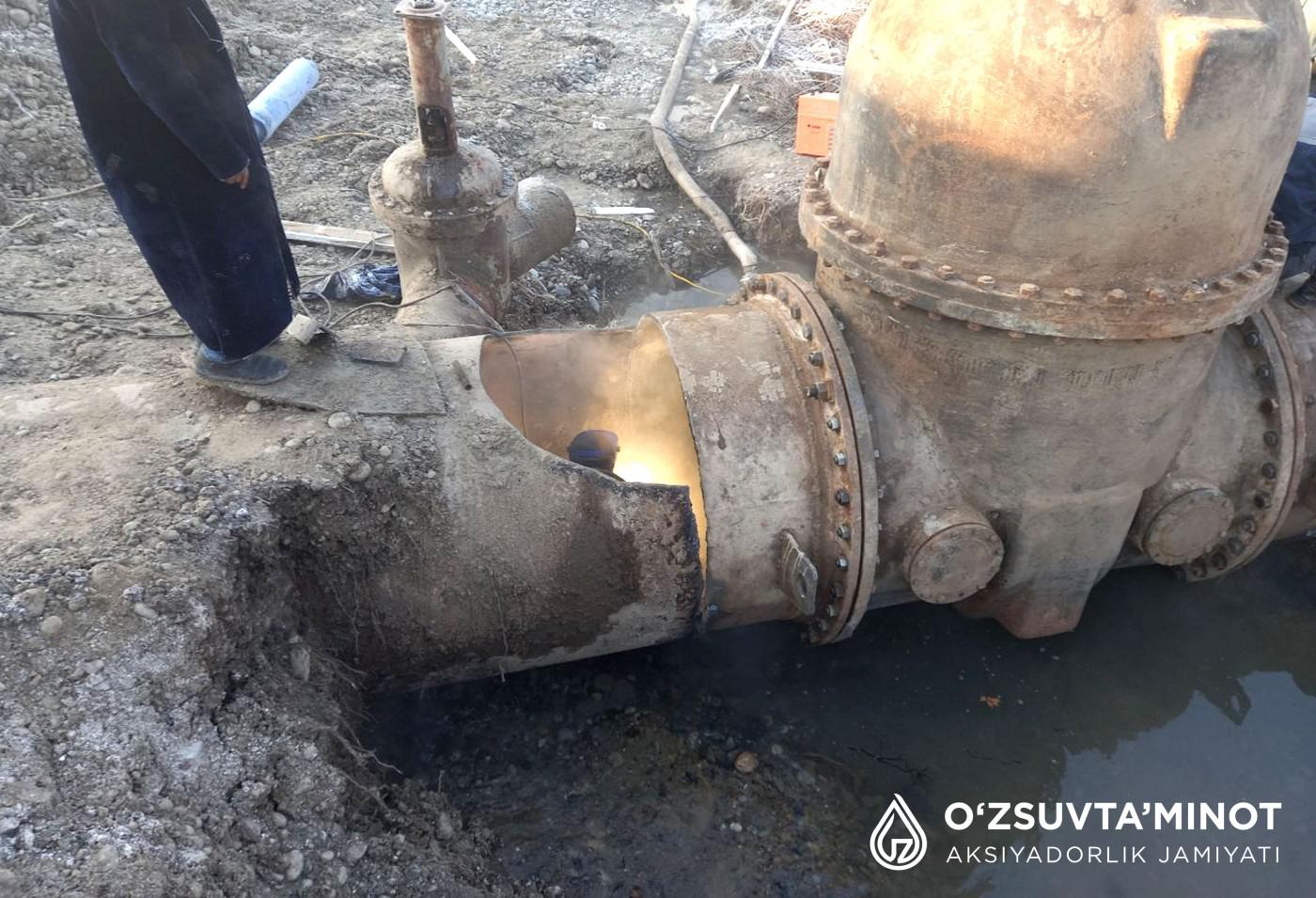 Sylvia dan chiroyli porno