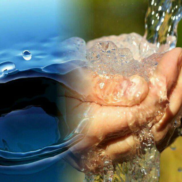 Chiroyli dumbalar suzish sandiqlarida haqiqatan ham shahvoniy Chiroyli dumbalar suzish sandiqlarida haqiqatan ham shahvoniy